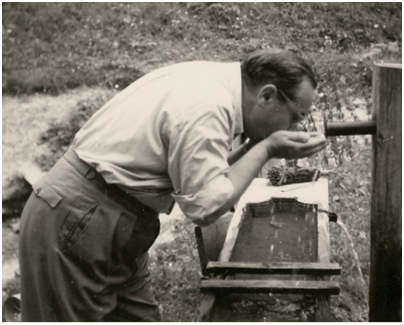 Fink trinkt am Brunnen