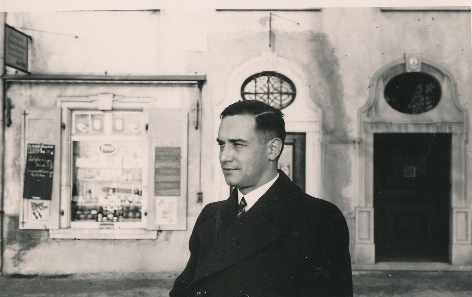 Foto von jungem Fink in Merseburg